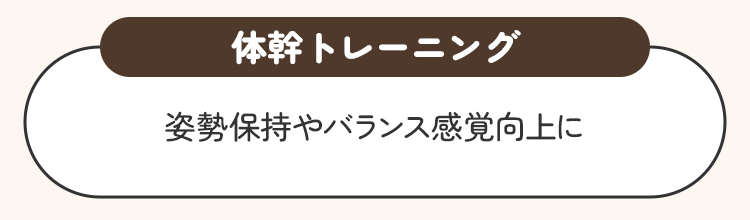 体幹トレーニング。姿勢保持やバランス感覚向上に