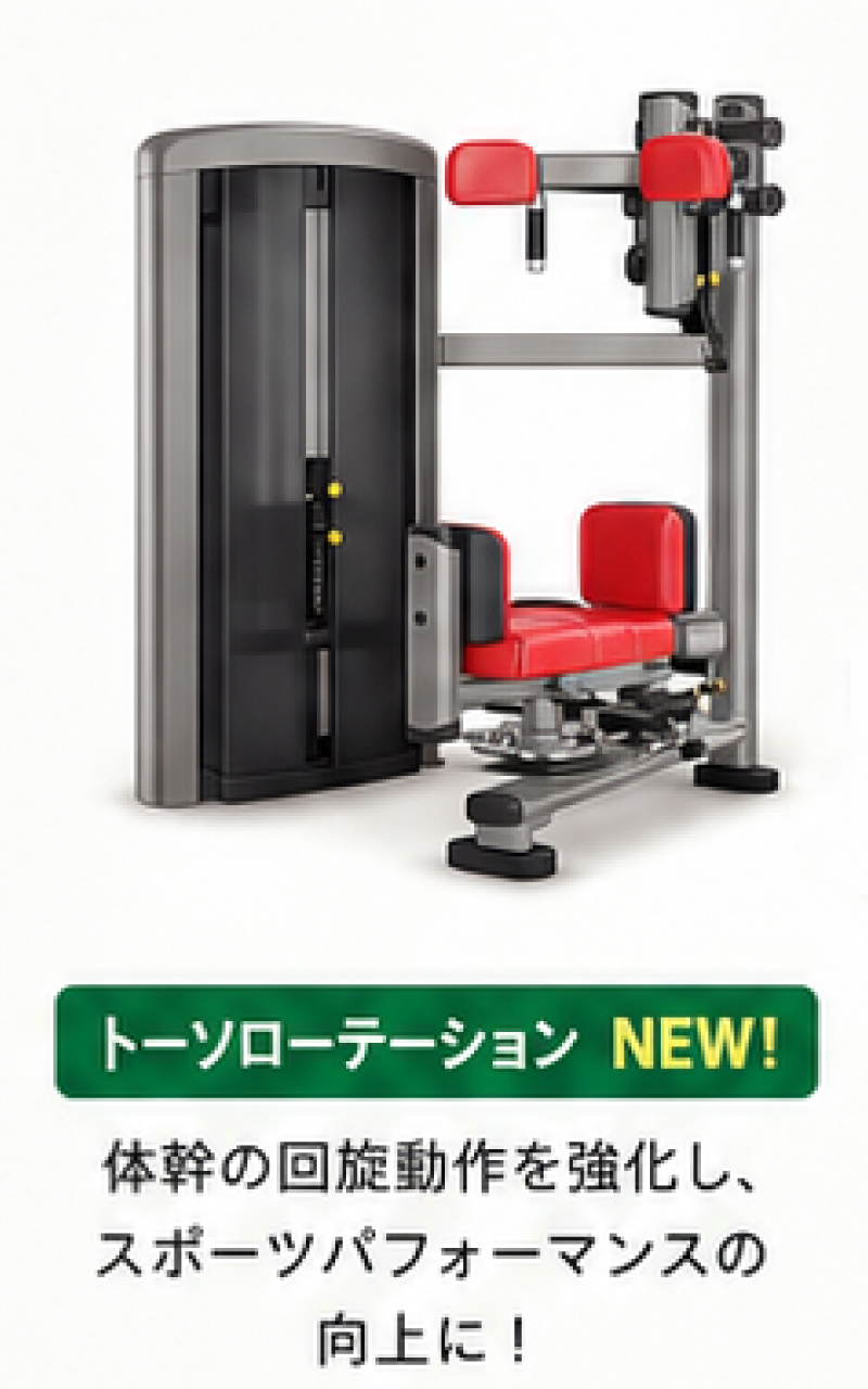 トーソローテーション